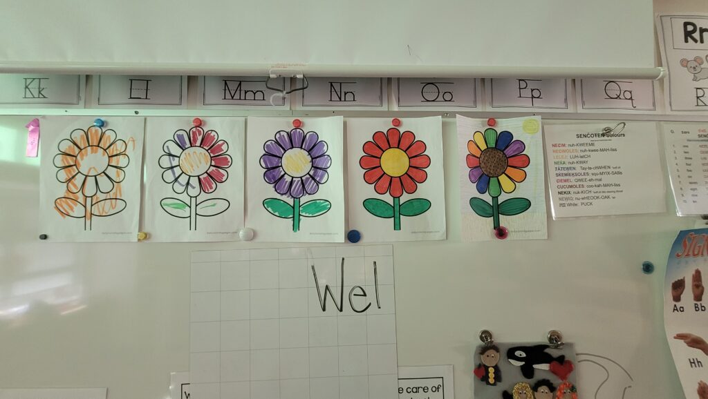 Five colorful flower drawings are pinned to a whiteboard, each with a different color scheme. Below them is a grid with the word Wet written on it. A classroom alphabet and other educational materials are visible.