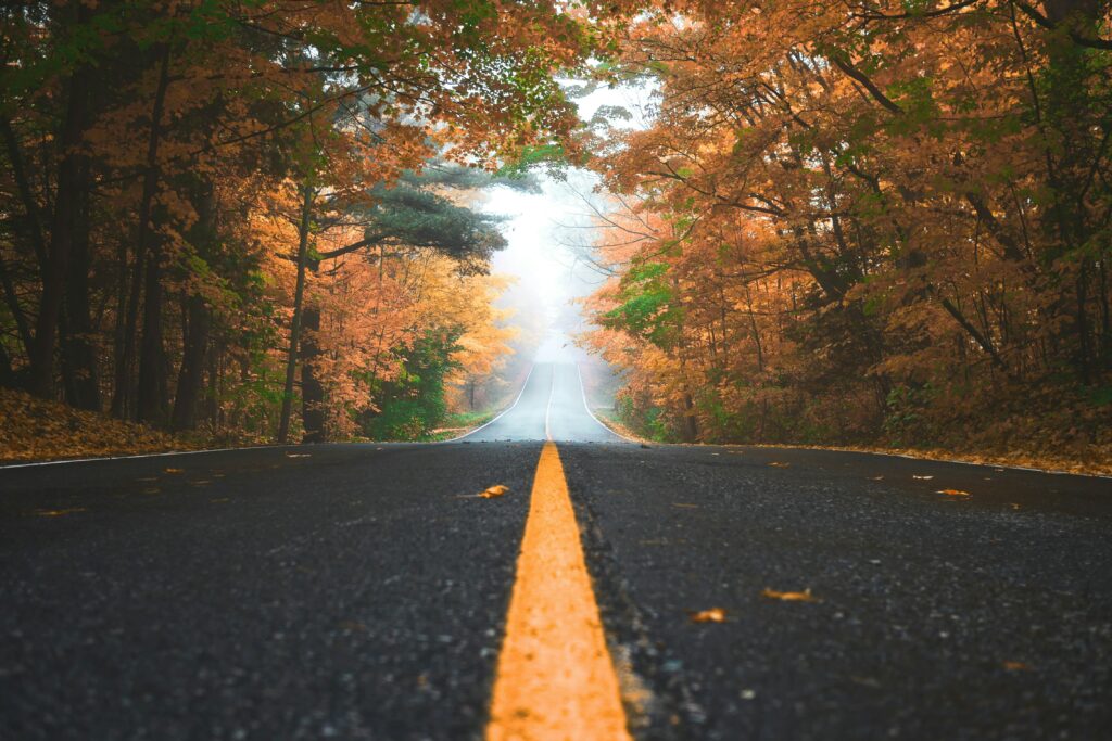 A picturesque road extends into the distance, surrounded by autumn trees displaying vibrant orange and yellow leaves. A single yellow line runs down the center of the road, leading toward a foggy, mist-covered horizon.